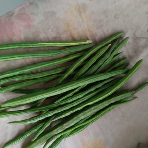 Chinese asparagus